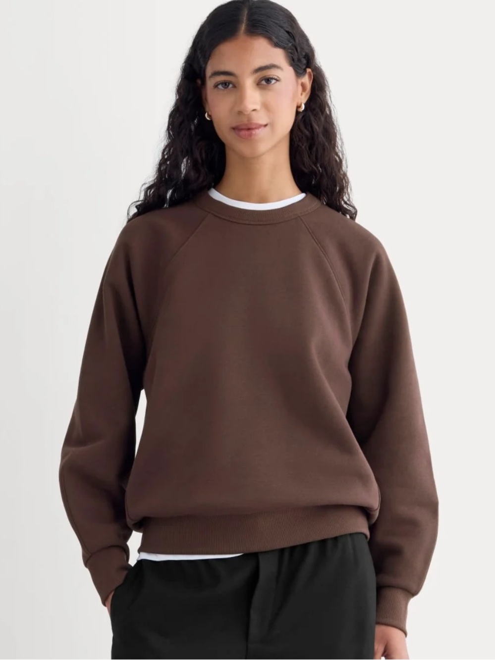Everlane XL luxe fleece raglan crewneck sweatshirt dark chocolate brown NWT $85